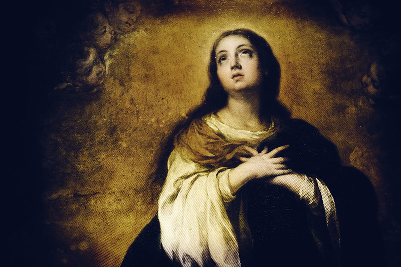 Immaculate Conception Mary, Mother of God, the Immaculate Conceoption